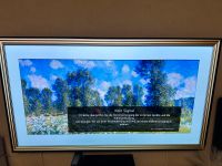 LG OLED 65CX9LA 120HZ 4K Smart TV 65Zoll Nordrhein-Westfalen - Wesel Vorschau