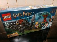 LEGO 76400 HARRY POTTER Hogwarts Kutsche mit Thestralen Bayern - Regenstauf Vorschau