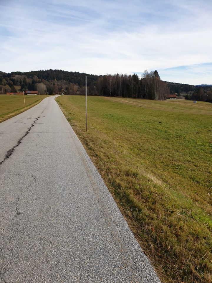 Wiesengrundstück Nähe Haidmühle in Haidmühle