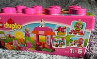 Lego, Duplo, Steine - Kiste Pink 10571 Saarland - Losheim am See Vorschau