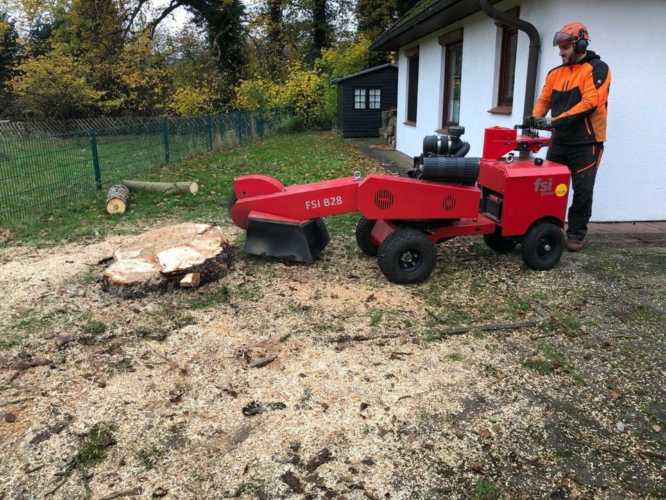 Baumpflege / Baumfällung / Sturmschäden /Baumbewässerung in Schneverdingen