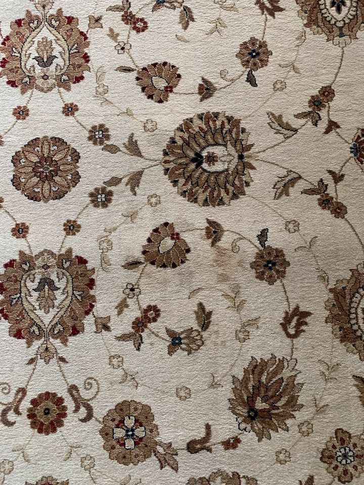 Teppich orientalisches Muster beige 240 x 340 in Wildeshausen