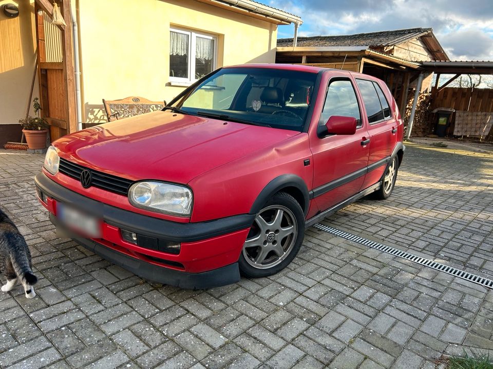 Golf 3 Color Concept 1.9 TDI 1Z in Beetzendorf