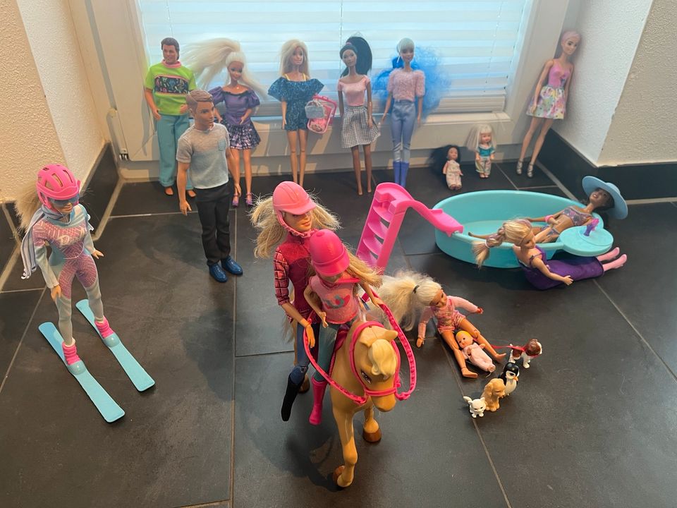 Barbie Sammlung mit Pool Pferd und Zubehör in Geisenhausen