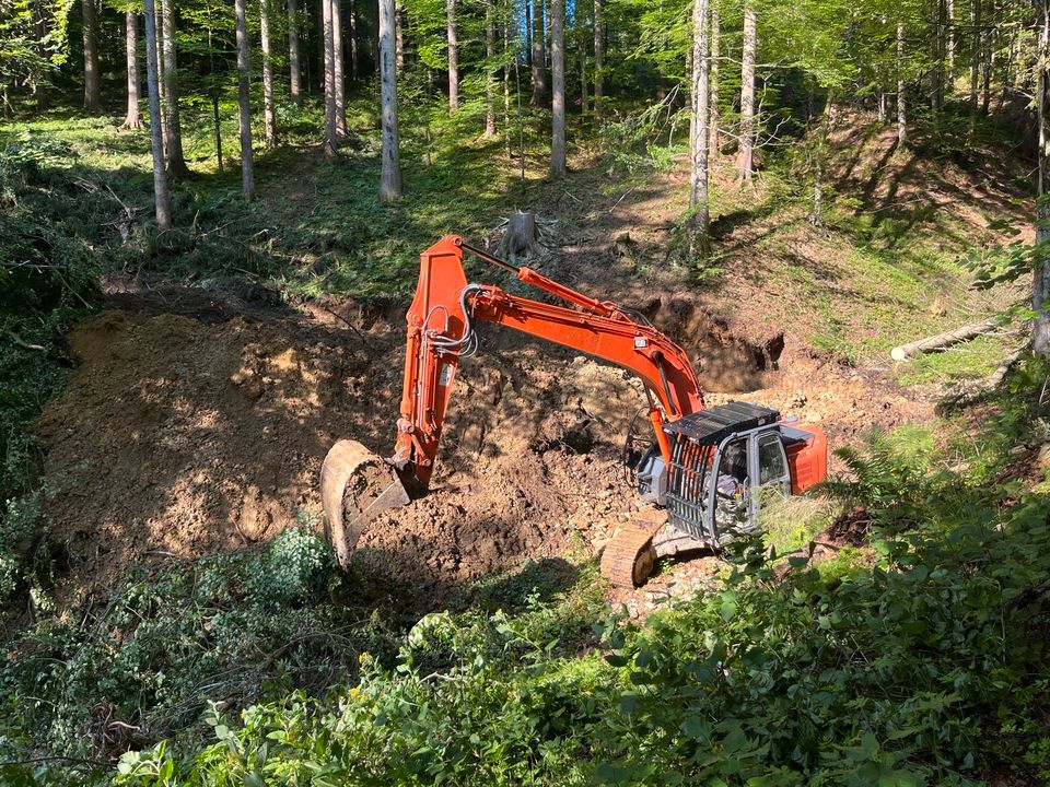Forstbetrieb sucht Forstwirte sowie Maschinisten im Oberallgäu in Weitnau