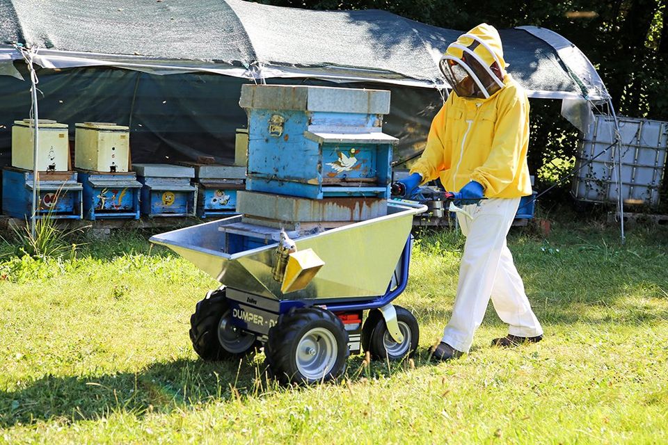 Zallys D1 Baumschule Elektrominidumper Elektrische Schubkarre in Dorfen