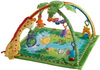 Fisher Price Rainforest Sachsen - Chemnitz Vorschau