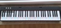 Piano Keyboard mit 61 Keys (Beleuchtete Tastaturfunktion) Hessen - Darmstadt Vorschau