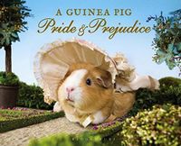 Guinea Pig Pride and Prejudice Niedersachsen - Springe Vorschau