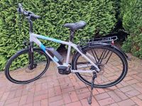 Herren E-Bike Liq Bike Nordrhein-Westfalen - Recke Vorschau