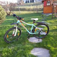 Mountainbike Kelly 27,5 Zoll Bayern - Immenstadt Vorschau