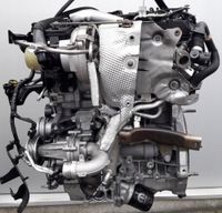 ALAFA ROMEO STELVIO Motor Engine 280PS 2.0 Turbo Mecklenburg-Vorpommern - Seebad Ahlbeck Vorschau