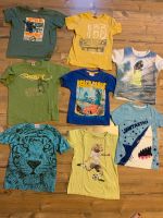 8 T-Shirts  110/116 Paket S.oliver H&M Tom Tailor etc Thüringen - Utzberg Vorschau