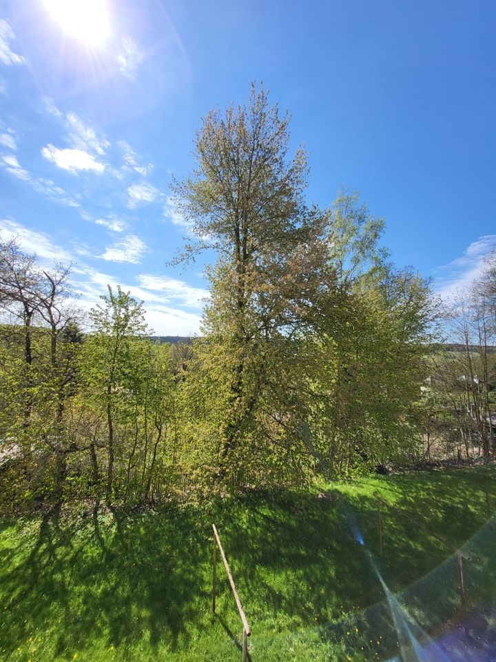 Kautionsfreie Singlewohnung mit schönem Ausblick! + 1 Monat Mietfrei! in Markneukirchen