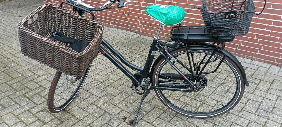 E Bike Damen in Wittmund