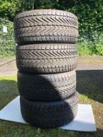 Vredestein Giugiaro 255/40R18 Winterreifen Rheinland-Pfalz - Koblenz Vorschau