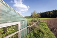 Gitterfolie | Schutz für Obst & Gemüse im Garten | HIER KAUFEN! Schleswig-Holstein - Tarp Vorschau