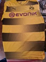 BVB TRIKOT XL Baden-Württemberg - Eberbach Vorschau