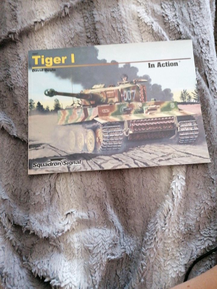 Tiger 1 in Action in Rheinbach