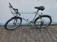 Mountainbike Fahrrad 26 Zoll Nordrhein-Westfalen - Paderborn Vorschau