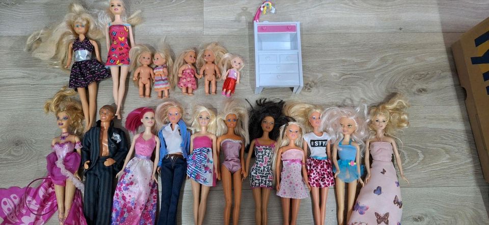 Barbie zuverkaufen in Wissen