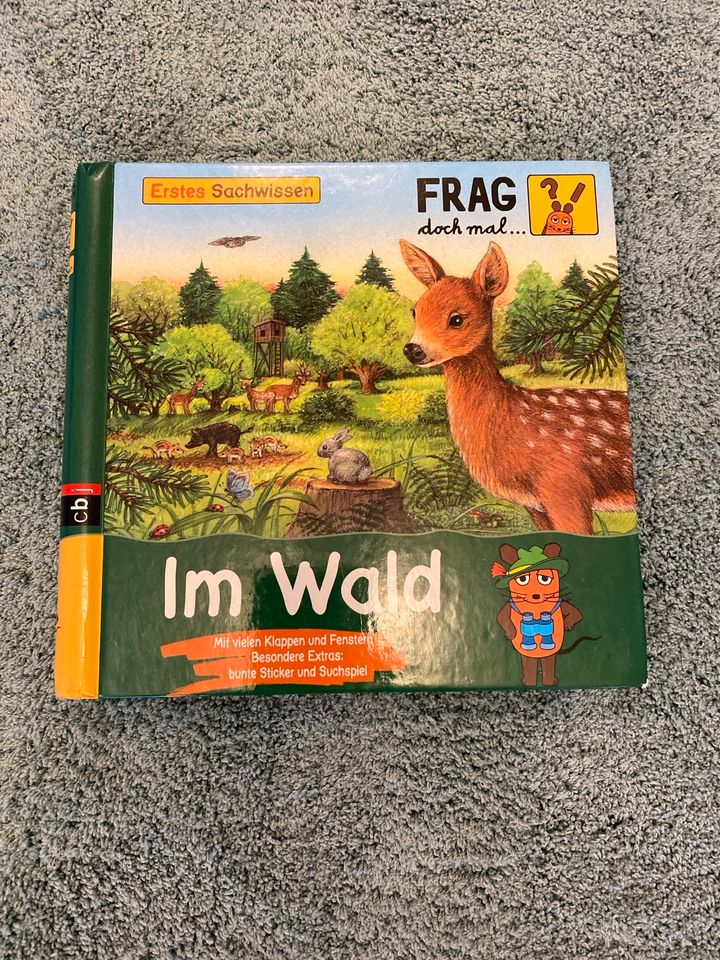 Im Wald - Frag doch mal Buch in Heide