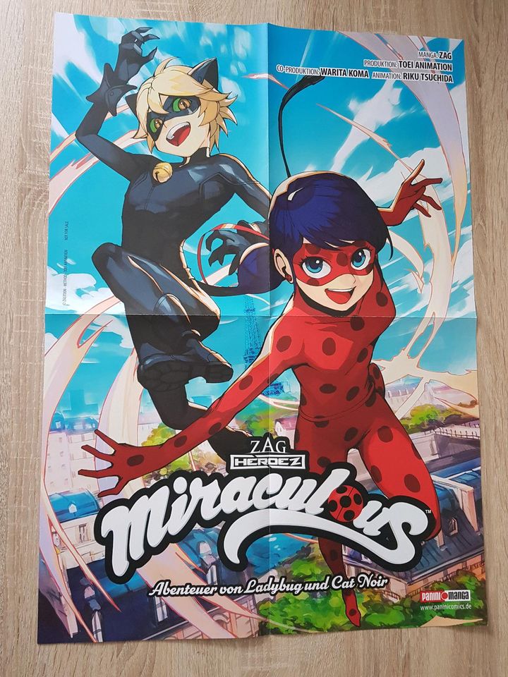 Anime Poster Miraculous Ladybug / Dokomi 2023 in Witzenhausen