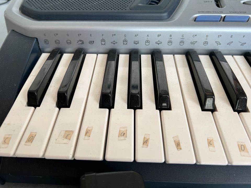 Casio Keyboard CTK-491 in Mosbach