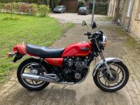 Yamaha XJ 900, 650, 550 Fundgrube, Viele Teile Schleswig-Holstein - Eckernförde Vorschau