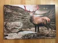 Hirsch Bild auf Keilrahmen - 60 x 40 cm - TOP !!! Obergiesing-Fasangarten - Obergiesing Vorschau