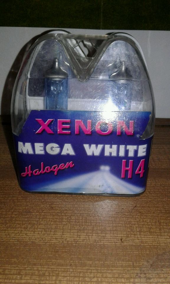 Xenon Mega White H4 Lampen Blau Simson Golf 2 Polo in Döbern
