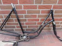 Göricke Damenrad Fahrrad Rahmen um 1950 ohne Pedalen Niedersachsen - Steinfeld Vorschau