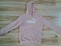 Puma Hoodie Rheinland-Pfalz - Zweibrücken Vorschau