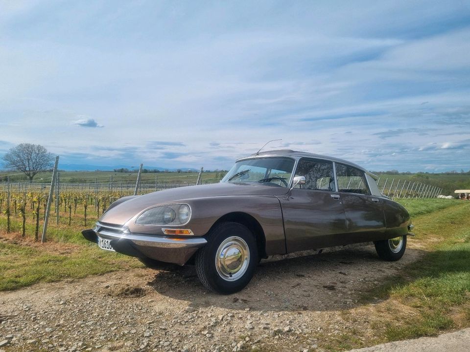 Citroen DS (ID) 20 D Super in Buggingen