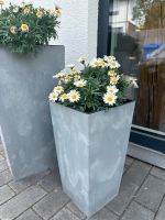Blumentopf Outdoor Bayern - Syrgenstein Vorschau