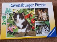 Ravensburger Puzzle 2x49 - Katzen Mecklenburg-Vorpommern - Torgelow Vorschau