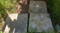 3 Granitplatten 50 x 50 cm Schleswig-Holstein - Schacht-Audorf Vorschau