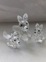 ❤️ 3 Swarovski Fuchs Familie 013837 OVP Kristall Figuren Füchse Berlin - Spandau Vorschau