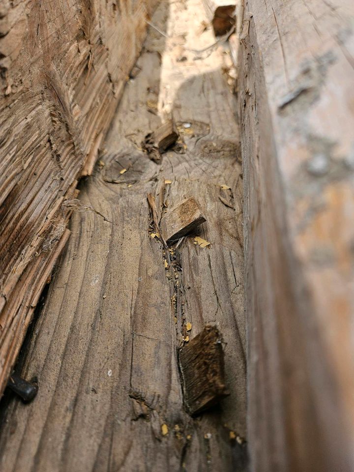 antik Holz Balken Fachwerk 300 - 400 J. alt  Baumaterial Abriß in Breitenbrunn