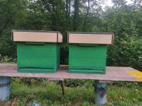 Bienenbeute, Beute, Bienenstock Nordrhein-Westfalen - Neunkirchen-Seelscheid Vorschau