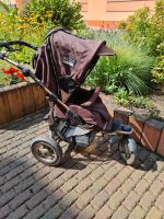 Kinderwagen Kombikinderwagen  Quinny Freestyle XL Sachsen - Riesa Vorschau