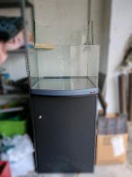 Aquarium Terrarium Sera Biotop 60L mit Unterschrank Köln - Rodenkirchen Vorschau