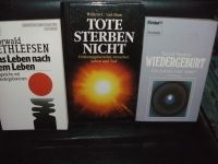 Das Leben nach den Leben, Tote sterben nicht & Wiedergeburt Wandsbek - Hamburg Tonndorf Vorschau