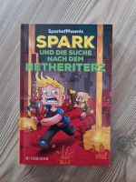 Spark und die Suche nach dem Netheriterz Baden-Württemberg - Dischingen Vorschau