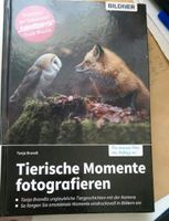 Tierische Momente Nordrhein-Westfalen - Salzkotten Vorschau