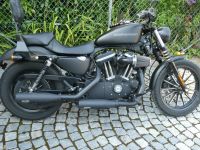Harley Davidson Sportster 883 N Iron Customize mit Anhänger München - Allach-Untermenzing Vorschau