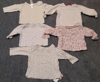 Baby Pullover Bayern - Wehringen Vorschau