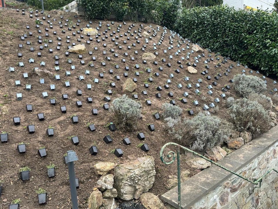 Gartenarbeit - Günstig & Sauber in Niedernhausen