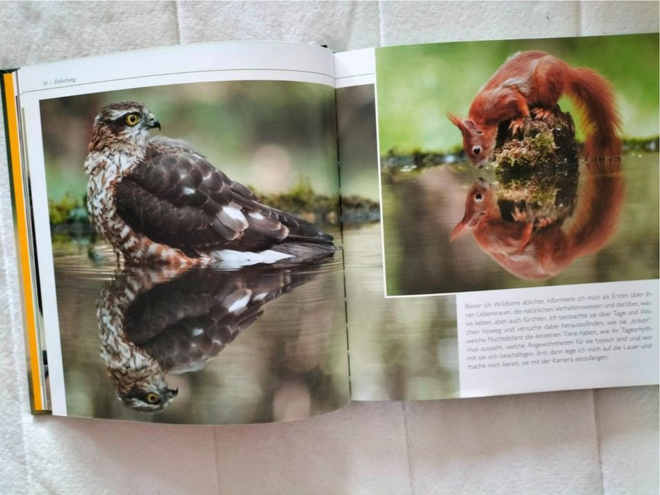 Sag es durch die Blume - Naturbuch für Kinder - Lübbe Verlag in Radebeul
