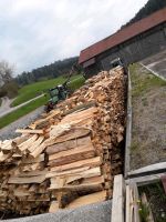 Brennholzverkauf Bayern - Wald Oberpf. Vorschau